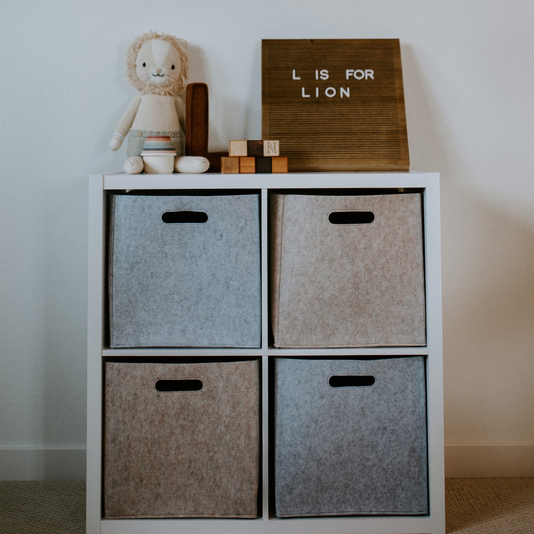 Chaos Control Episode 2: Using Storage Cubes to Organize Your Home