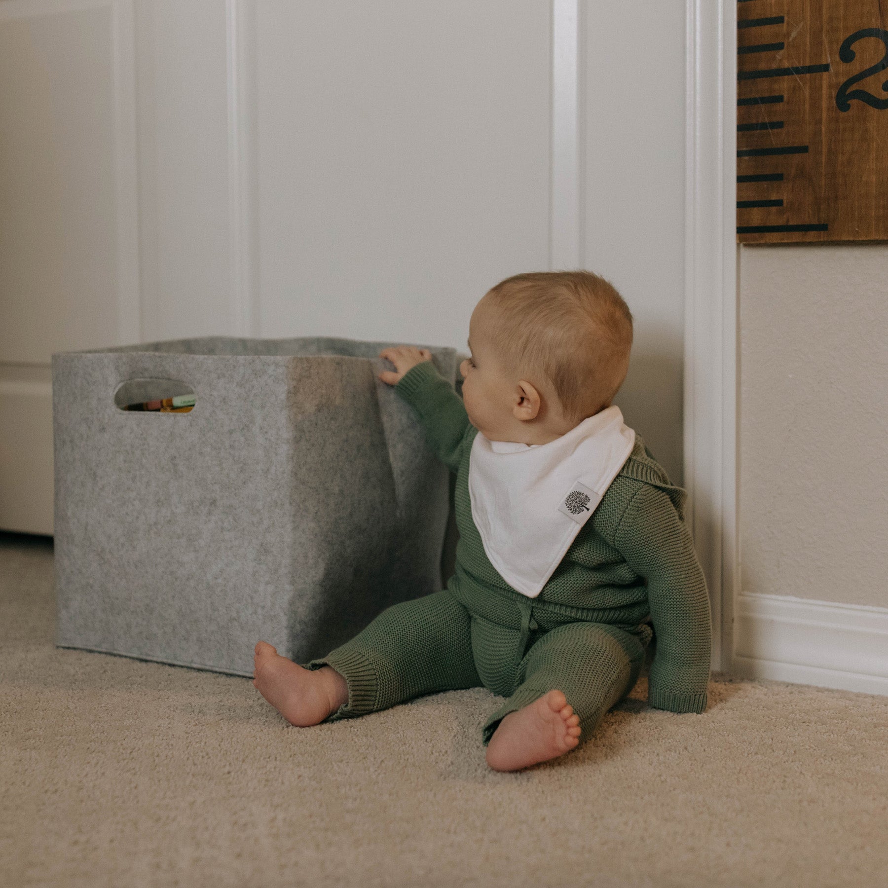 Why Felt? The Reason Why We LOVE It for Our Organization Products...