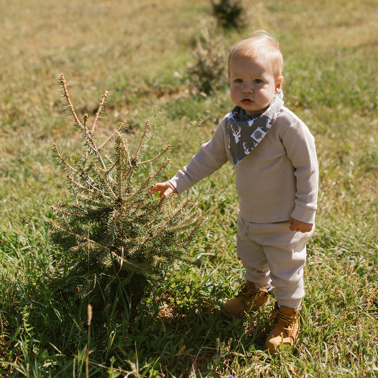 Lumberjack bib on baby boy