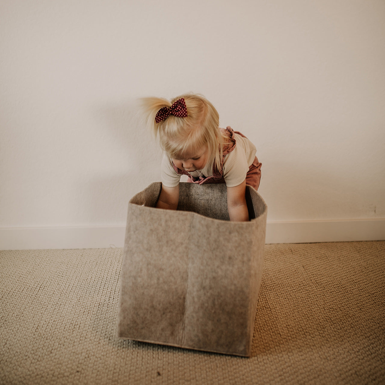 Oatmeal Felt Storage Cube for organization