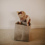 Oatmeal Felt Storage Cube for organization