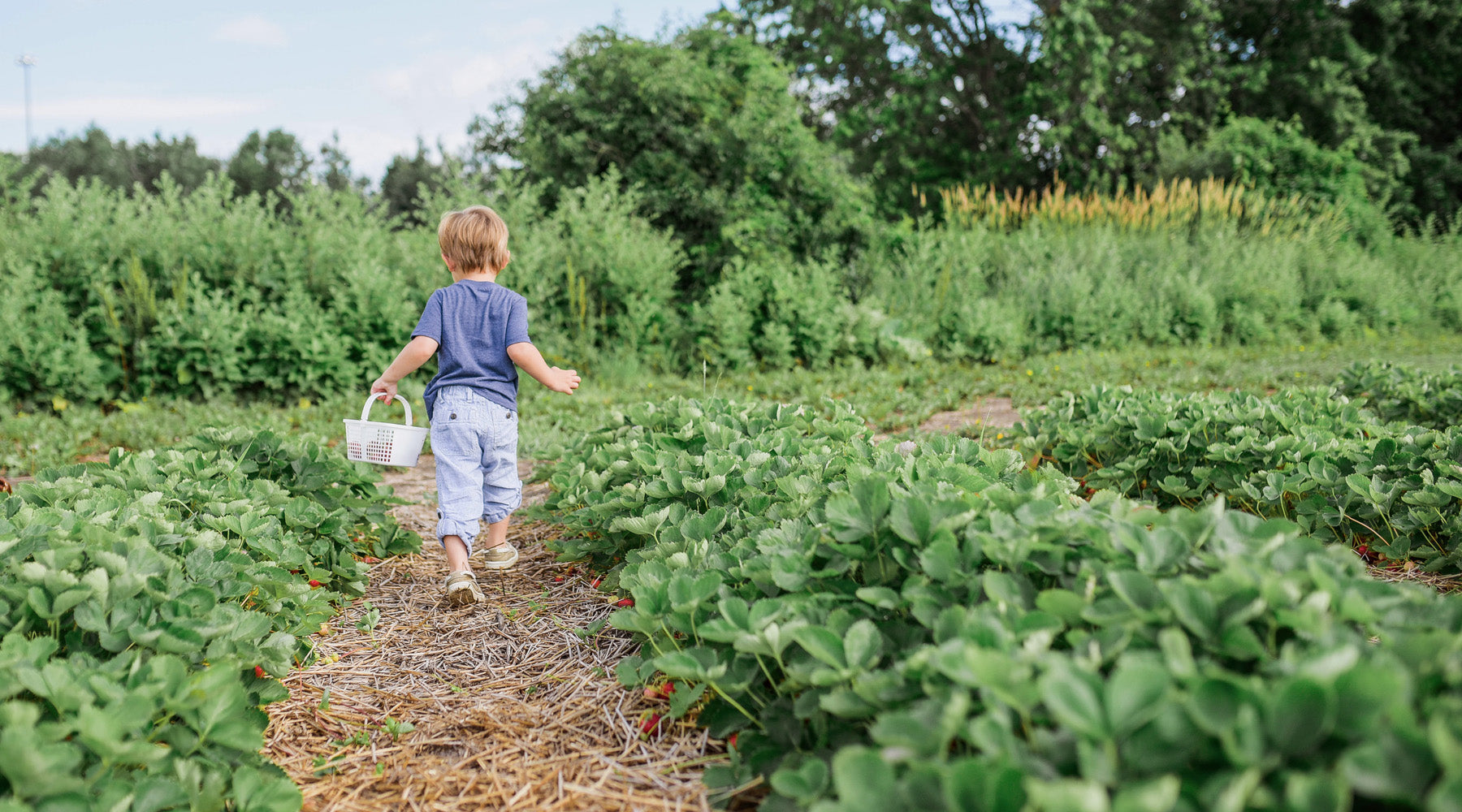 11 Tips for Gardening with Kids