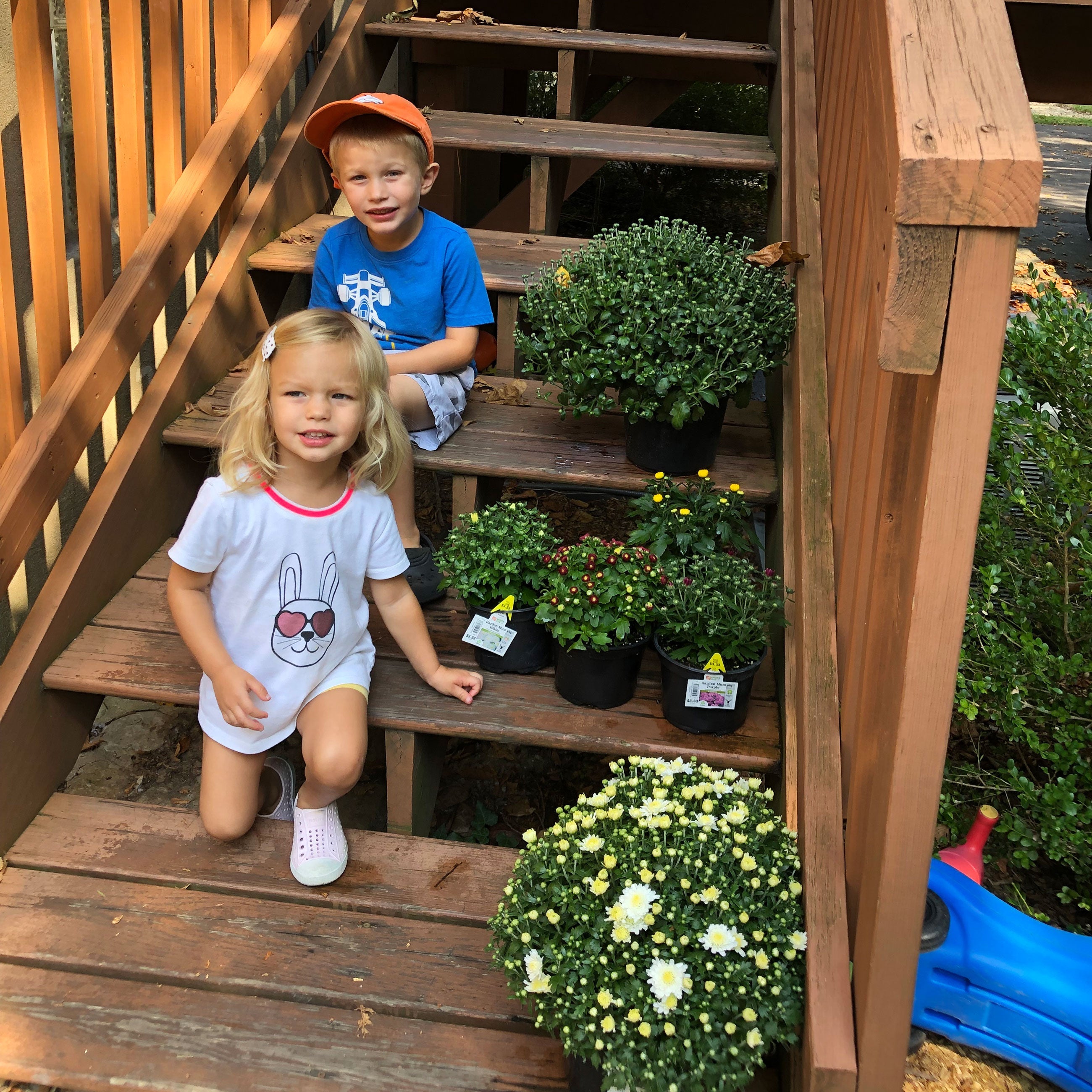 Berries, Blooms, and Babies