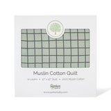 Sage Windowpane Quilt